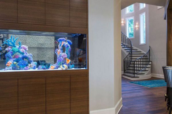 A large aquarium with two stuffed animals inside of it.